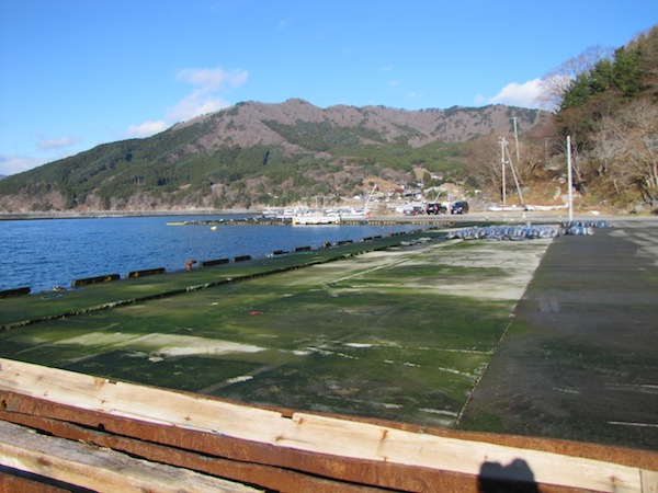 sakihama121232