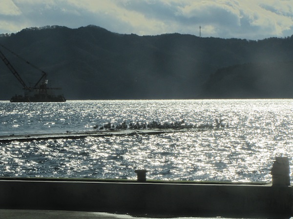 urahama121215