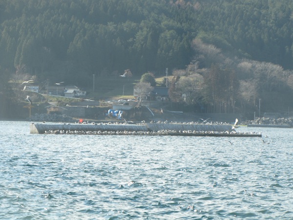 urahama121218