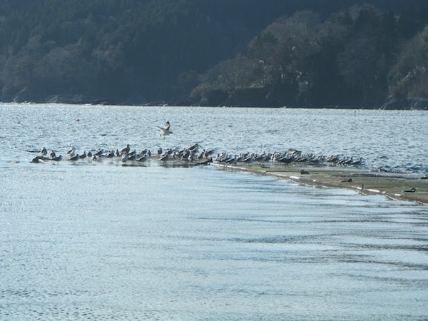 urahama121220