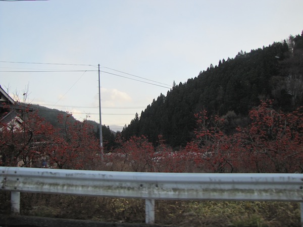 kotoge121844