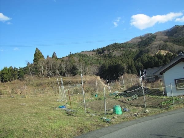 sakihama121801