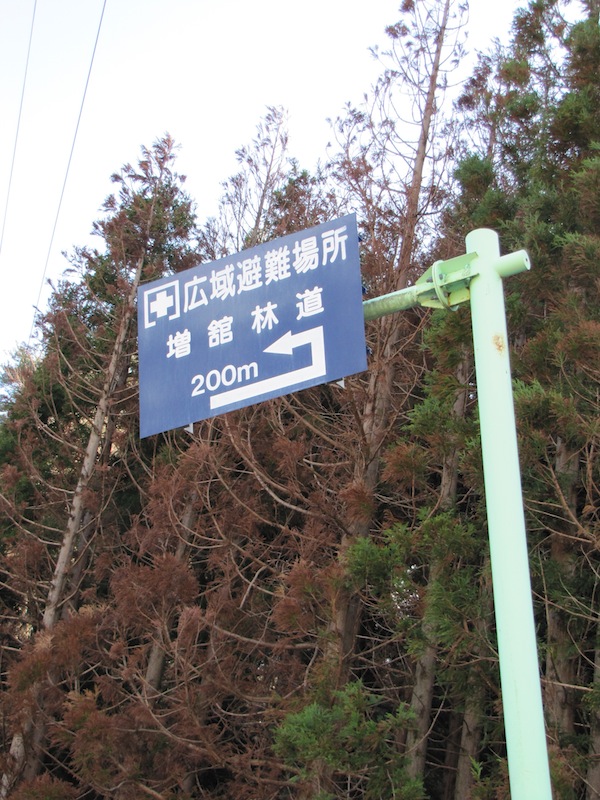 yoshihama122037
