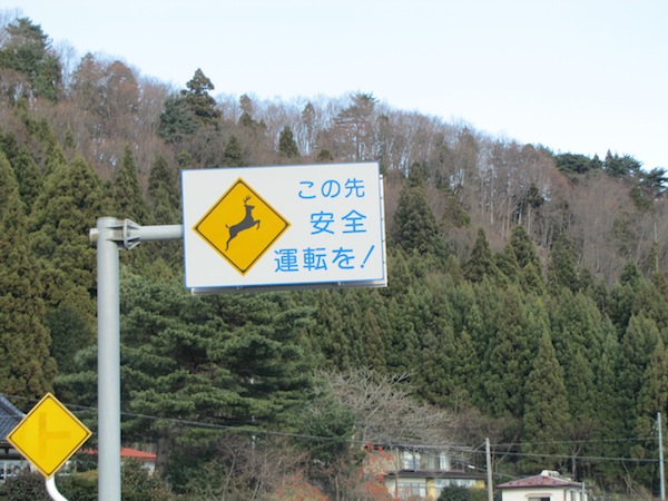 yoshihama122044