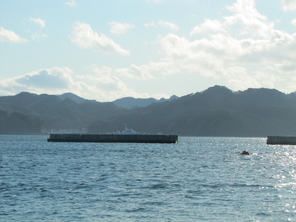 otsuchi010514