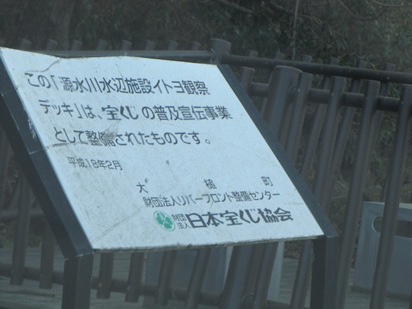 otsuchi010552