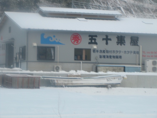 yuki012509