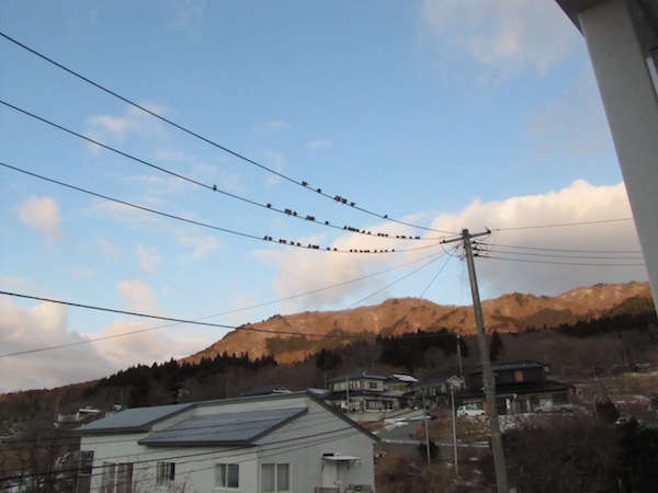 urahama012901