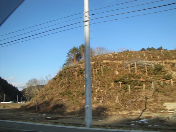 minami021311