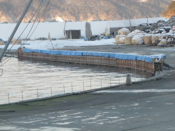 sakihama021402