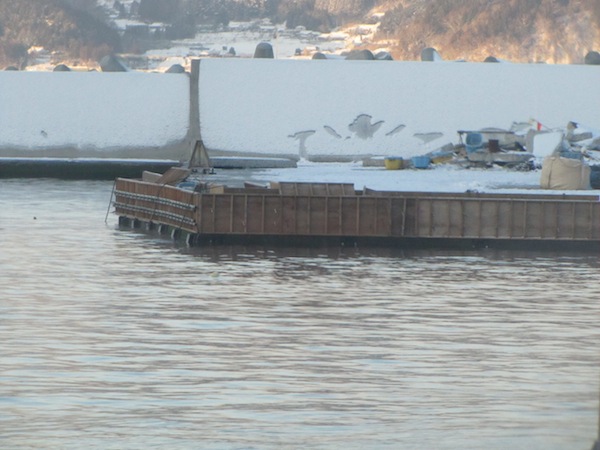 sakihama021405