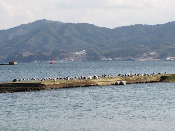 minami022713