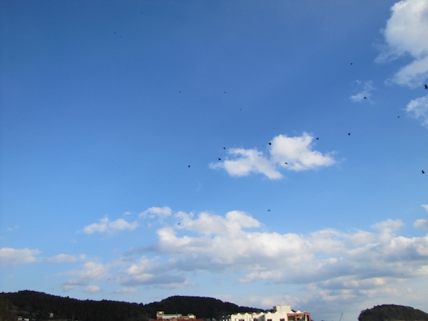 minami022720