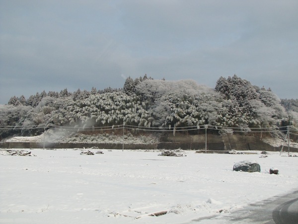 tamanoyu030512