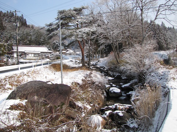 tamanoyu030520