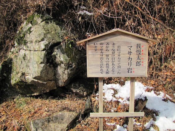 tamanoyu030527