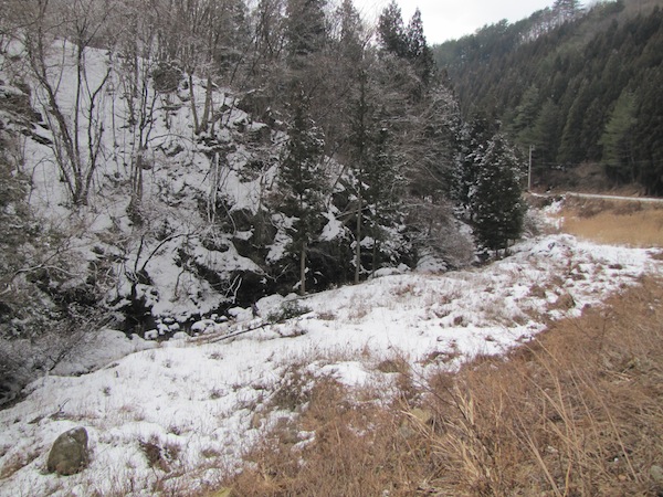 tamanoyu030530
