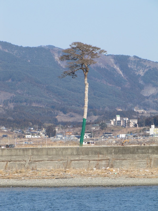 tama030543