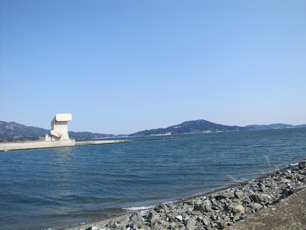 tama030603