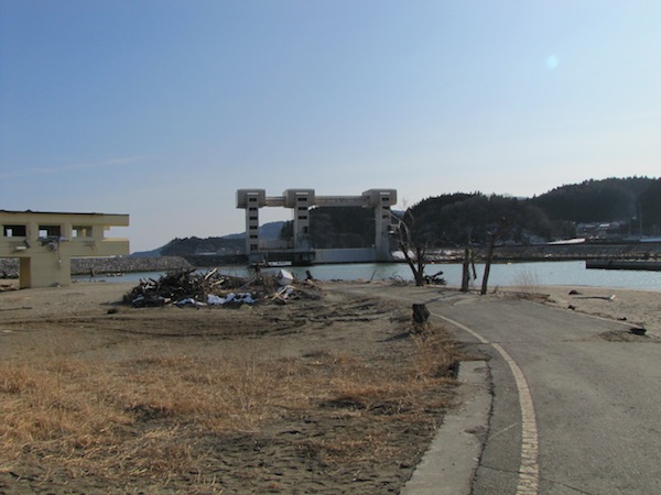 tama030624