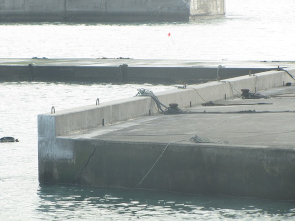 ryouri031313