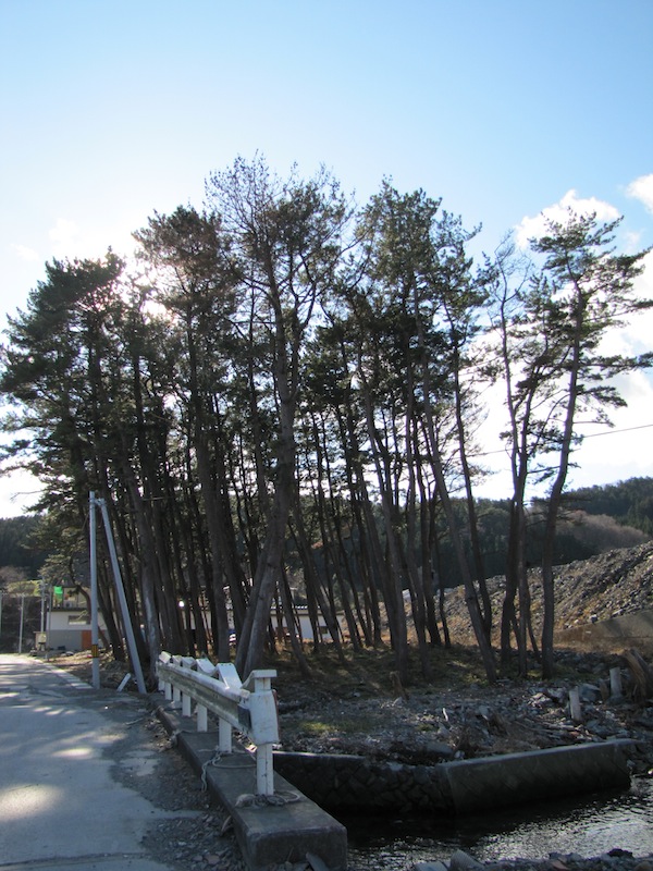tomari031902