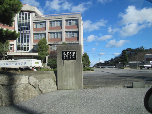 kitasato032304