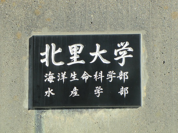 kitasato032305