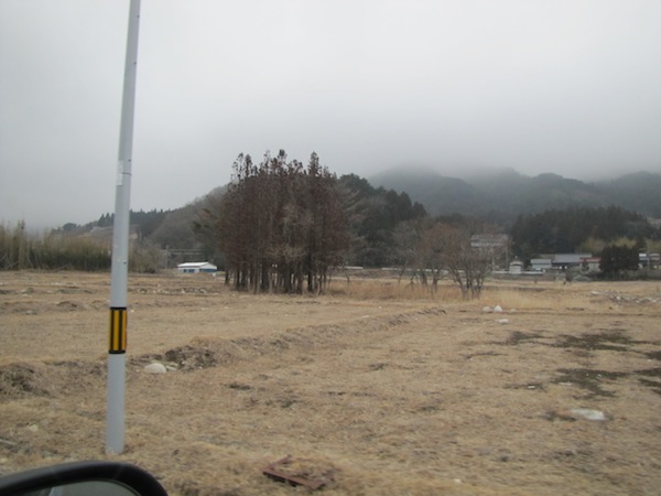 yoshi040135