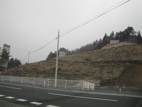 yoshi040137