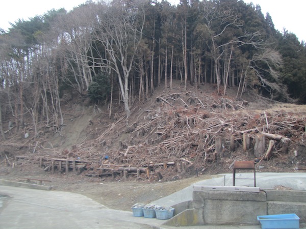 oishi040624