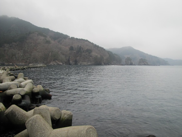 oishi040629