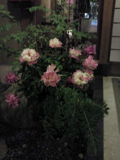 2014060119550000.jpg