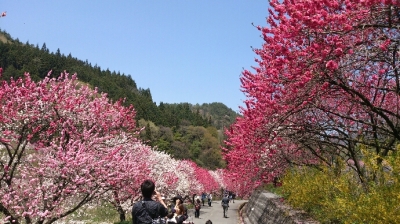 2013-05-06_17.35.23.jpg