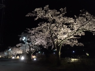 image1.jpg