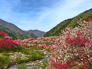 image1.jpg