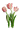 ¥Õ¥¡¥¤¥ë1250.gif