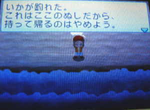 牧場物語いか
