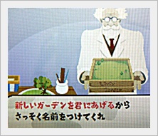 新しい庭