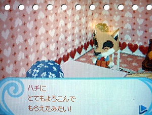 ハチ6