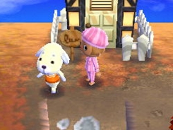 バニラ