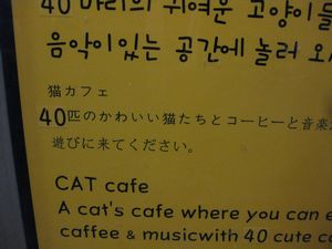 韓国11