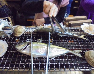 駿河湾ツアー1