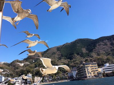 駿河湾ツアー3