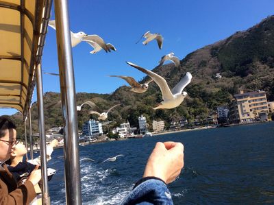 駿河湾ツアー4