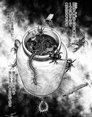毒虫