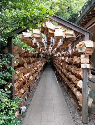 川越氷川神社3