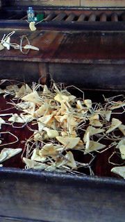201202291154000.jpg