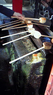 201202291152001.jpg