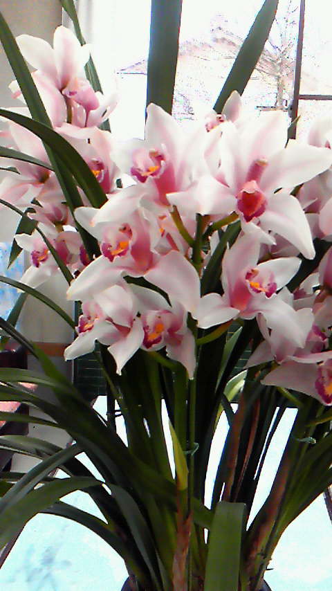 201203181342000.jpg